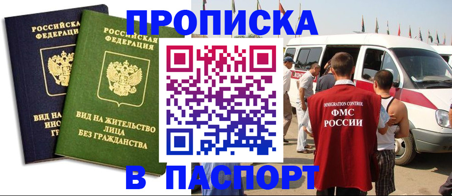 прописка в Волосово